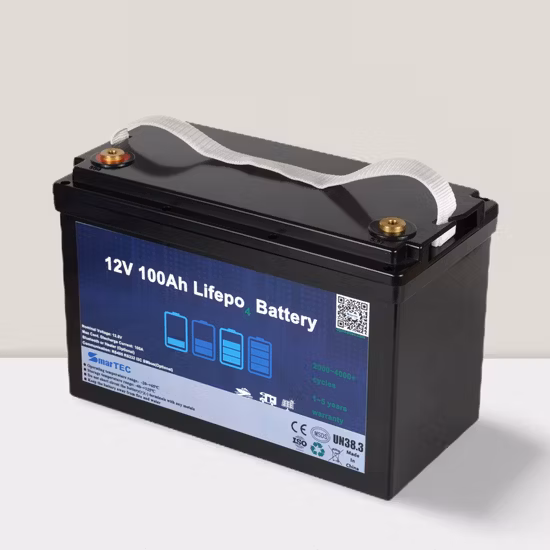 Green Marine batterie al litio/LiFePO4 a ciclo profondo 12 V 100 Ah per Marine House S/roulotte/camper/motore elettrico da traina Batteria di riserva di grande capacità